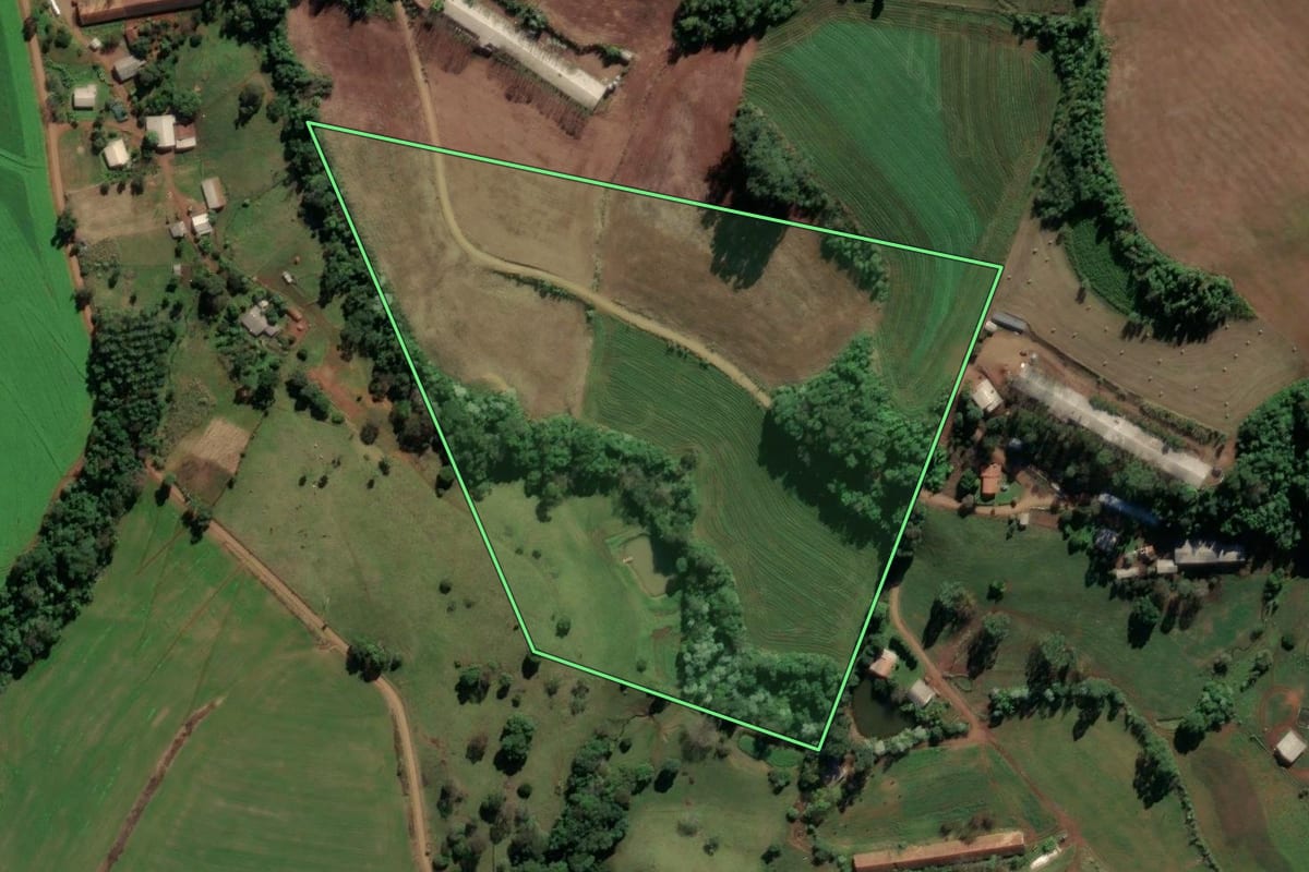 Imagem de satélite do imóvel rural em Palmitos (SC), com o contorno declarado no CAR desenhado por cima.