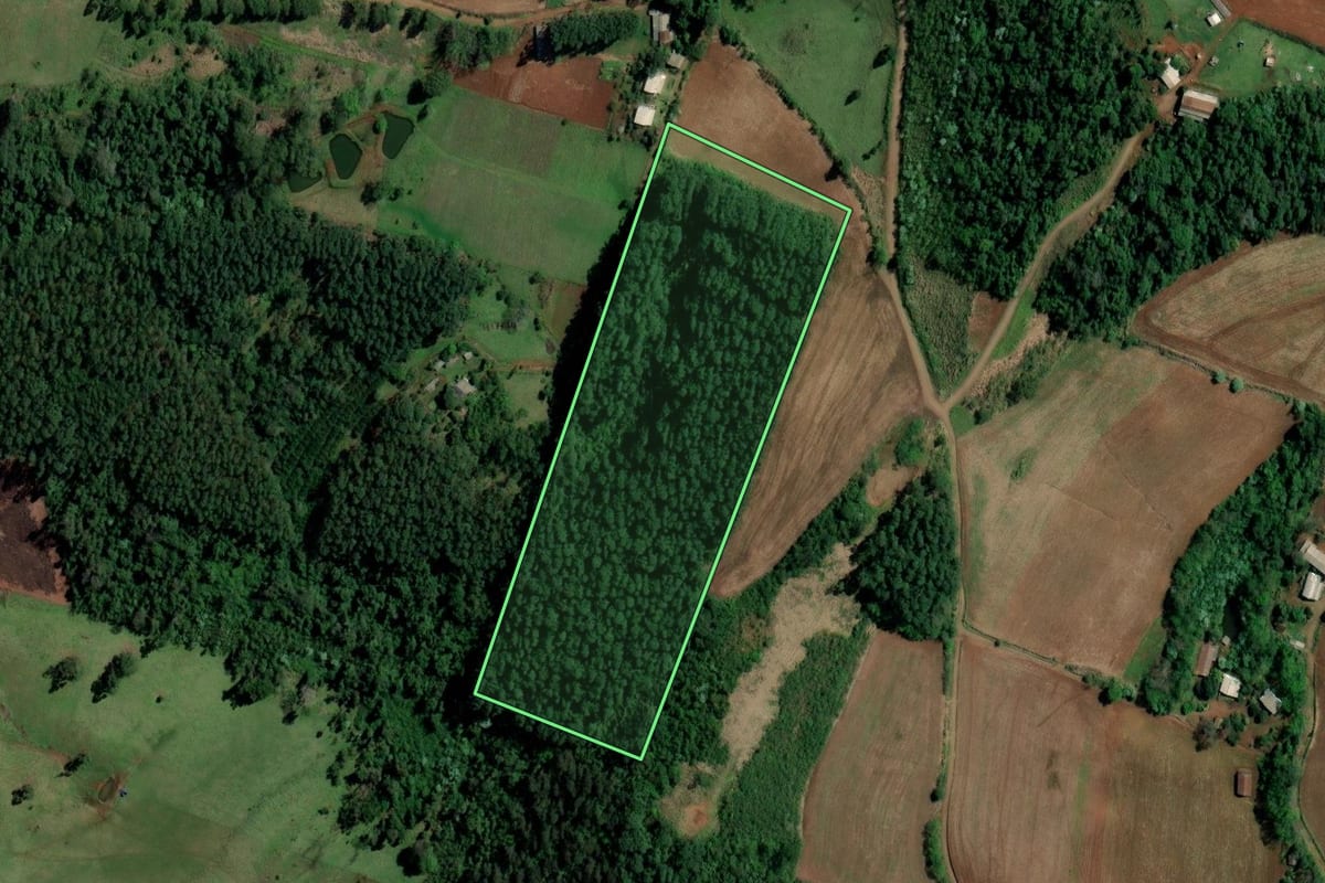 Imagem de satélite do imóvel rural em Palmitos (SC), com o contorno declarado no CAR desenhado por cima.