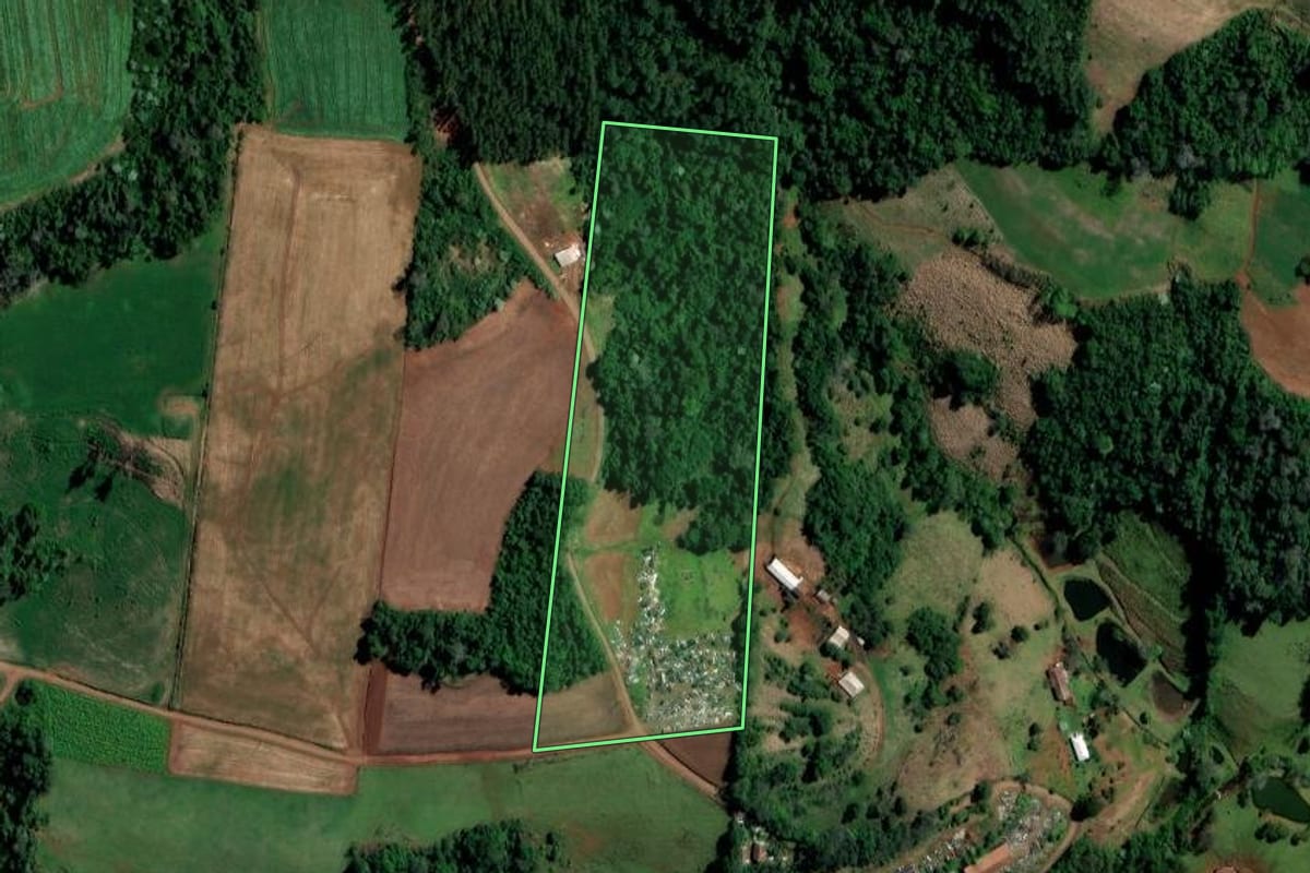 Imagem de satélite do imóvel rural em Palmitos (SC), com o contorno declarado no CAR desenhado por cima.