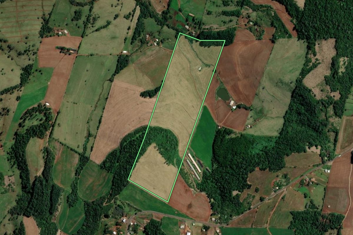Imagem de satélite do imóvel rural em Palmitos (SC), com o contorno declarado no CAR desenhado por cima.