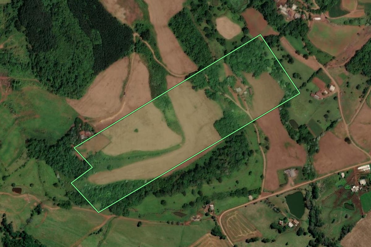 Imagem de satélite do imóvel rural em Palmitos (SC), com o contorno declarado no CAR desenhado por cima.