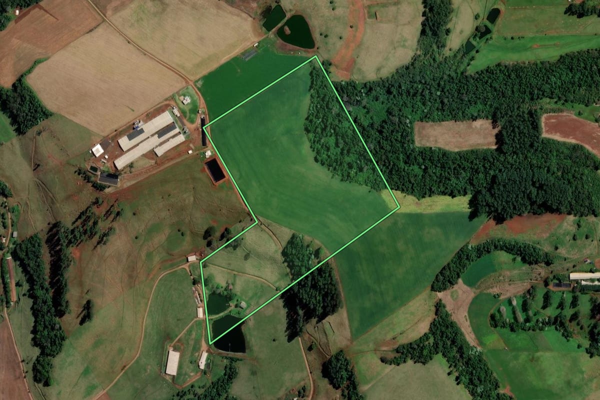 Imagem de satélite do imóvel rural em Palmitos (SC), com o contorno declarado no CAR desenhado por cima.