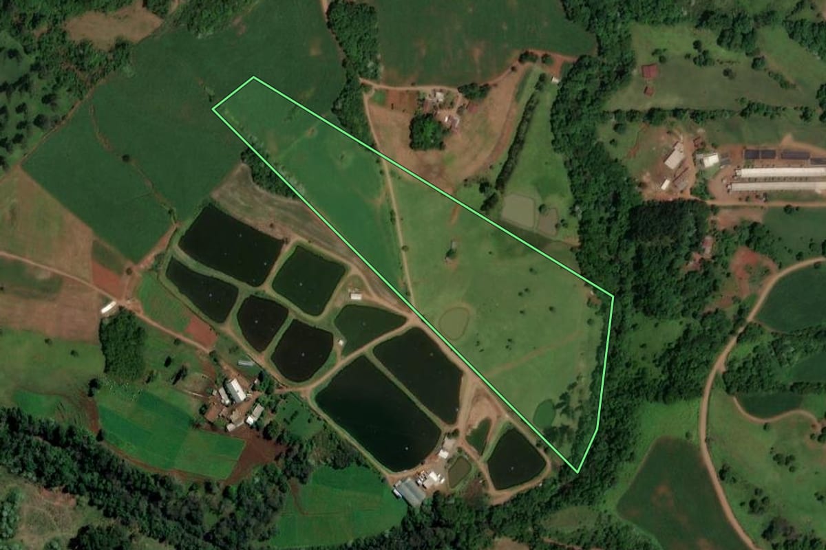 Imagem de satélite do imóvel rural em Palmitos (SC), com o contorno declarado no CAR desenhado por cima.