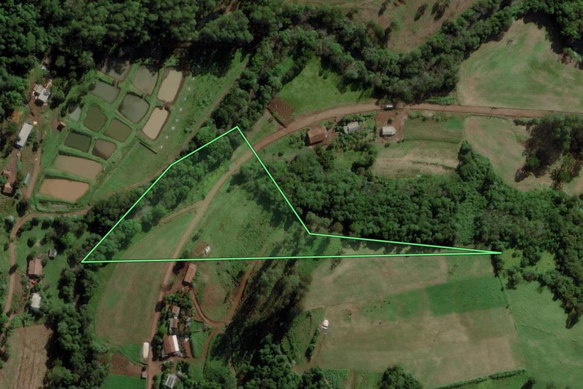 Imagem de satélite do imóvel rural em Palmitos (SC), com o contorno declarado no CAR desenhado por cima.