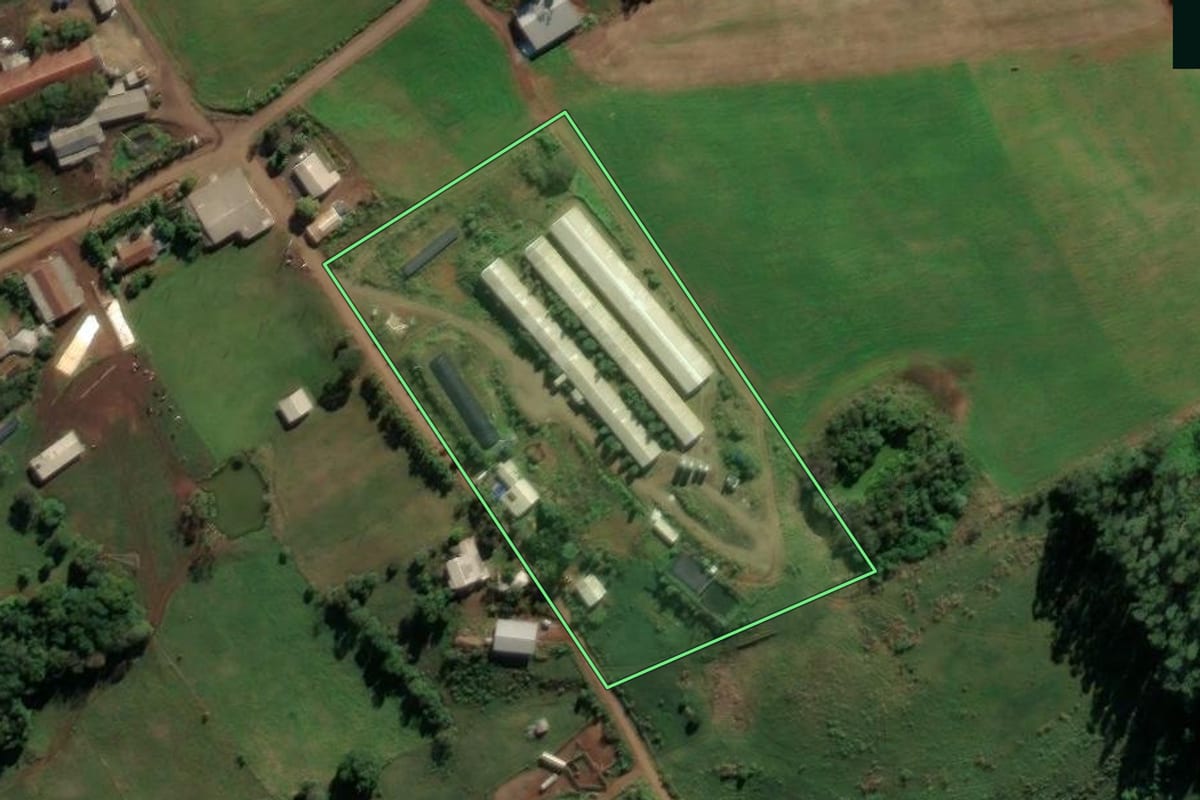 Imagem de satélite do imóvel rural em Palmitos (SC), com o contorno declarado no CAR desenhado por cima.