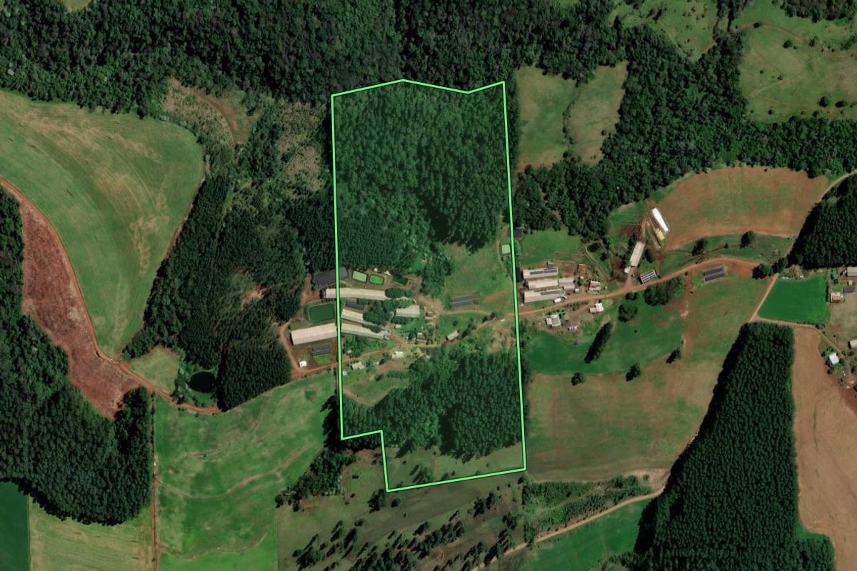 Imagem de satélite do imóvel rural em Palmitos (SC), com o contorno declarado no CAR desenhado por cima.