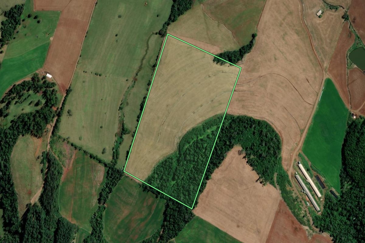 Imagem de satélite do imóvel rural em Palmitos (SC), com o contorno declarado no CAR desenhado por cima.