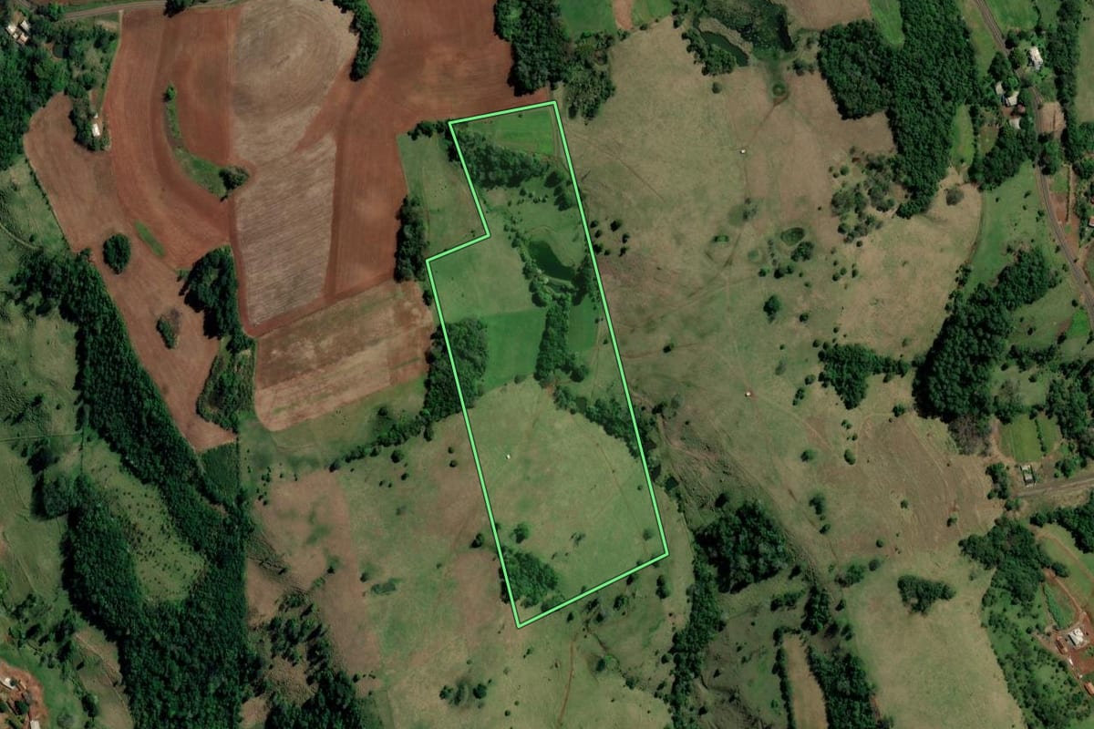 Imagem de satélite do imóvel rural em Palmitos (SC), com o contorno declarado no CAR desenhado por cima.