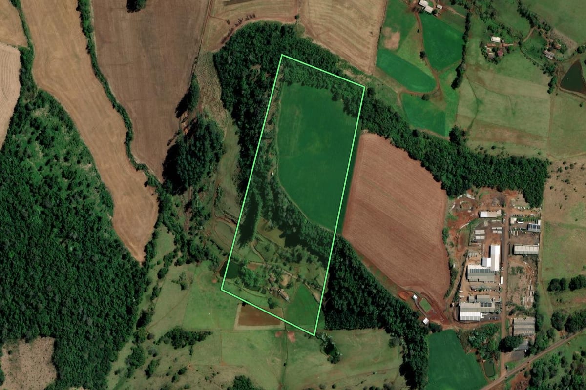 Imagem de satélite do imóvel rural em Palmitos (SC), com o contorno declarado no CAR desenhado por cima.