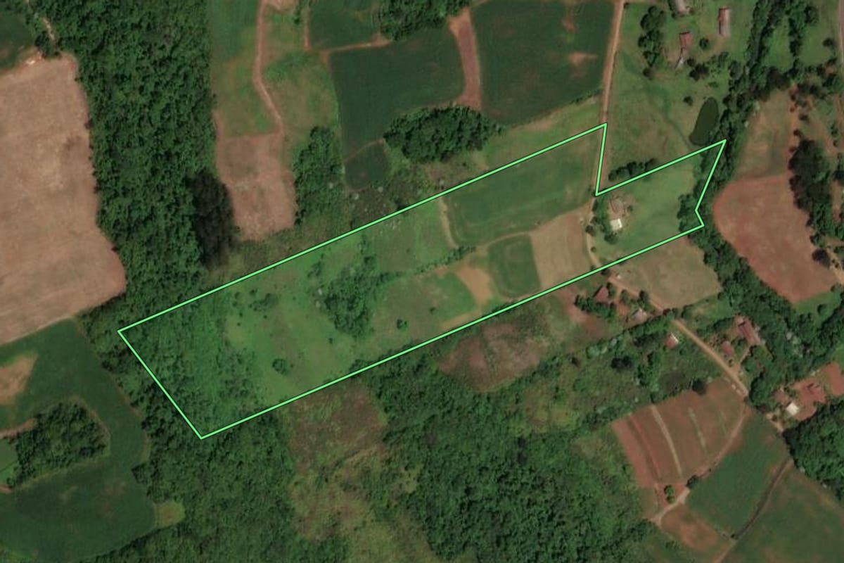 Imagem de satélite do imóvel rural em Palmitos (SC), com o contorno declarado no CAR desenhado por cima.