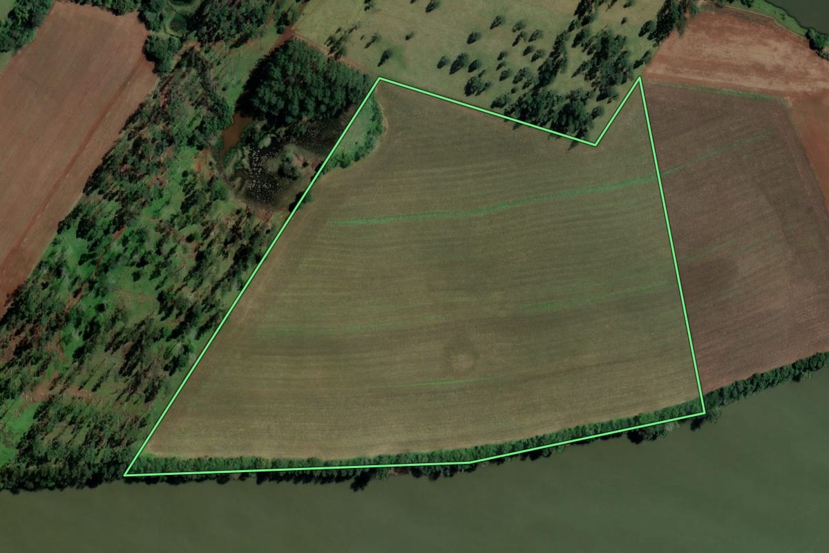 Imagem de satélite do imóvel rural em Palmitos (SC), com o contorno declarado no CAR desenhado por cima.