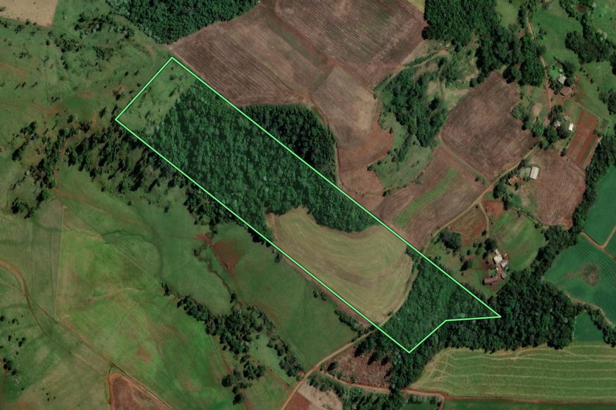Imagem de satélite do imóvel rural em Palmitos (SC), com o contorno declarado no CAR desenhado por cima.