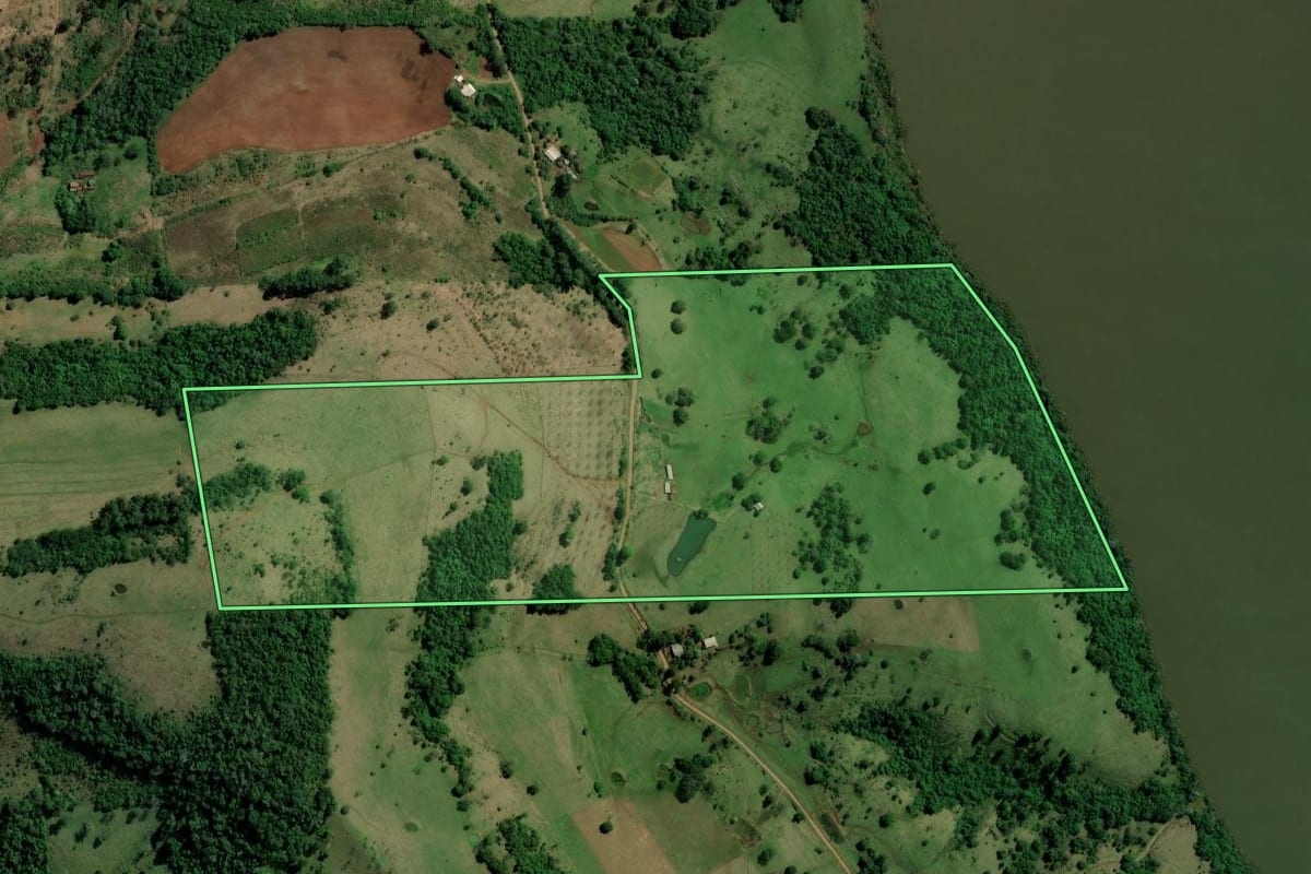 Imagem de satélite do imóvel rural em Palmitos (SC), com o contorno declarado no CAR desenhado por cima.