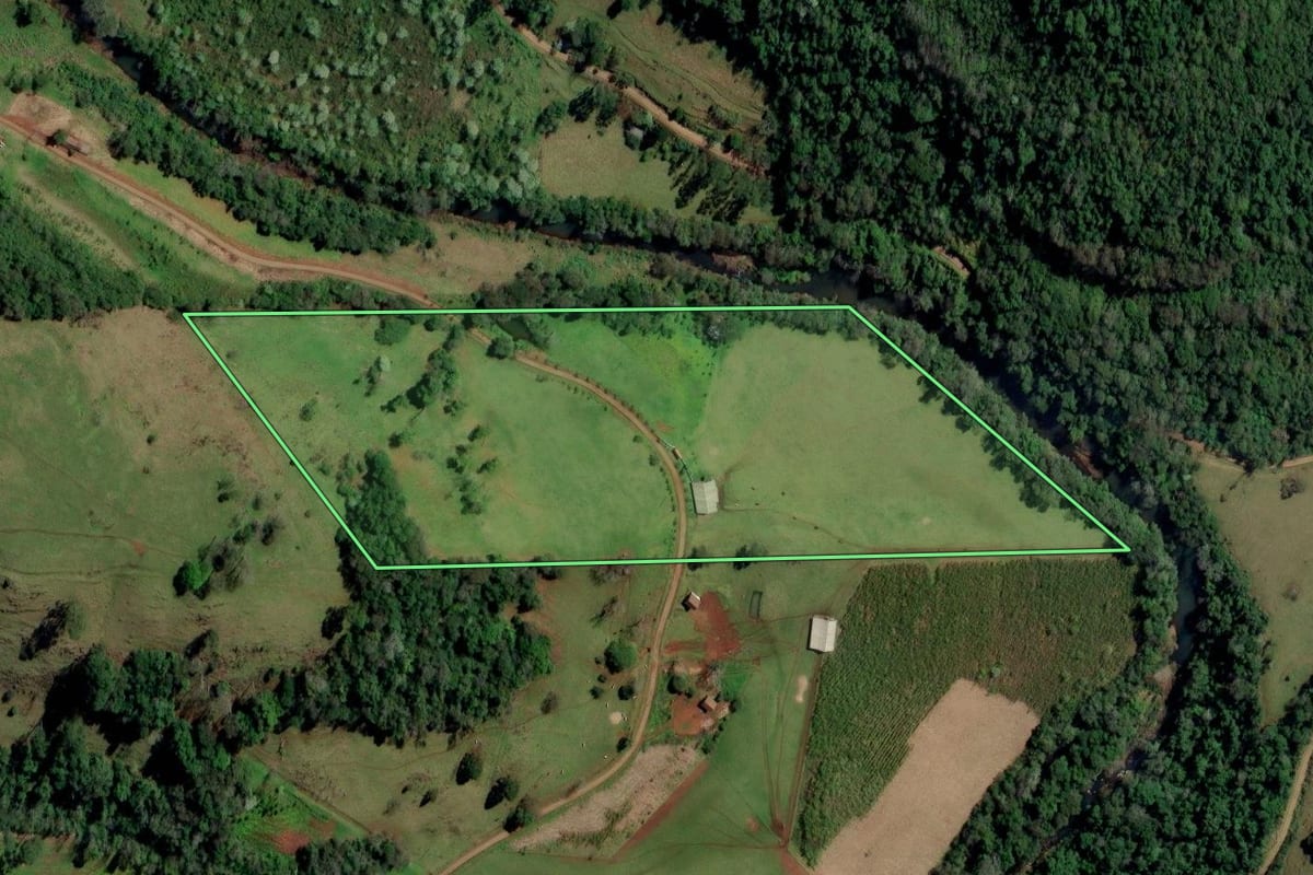 Imagem de satélite do imóvel rural em Palmitos (SC), com o contorno declarado no CAR desenhado por cima.