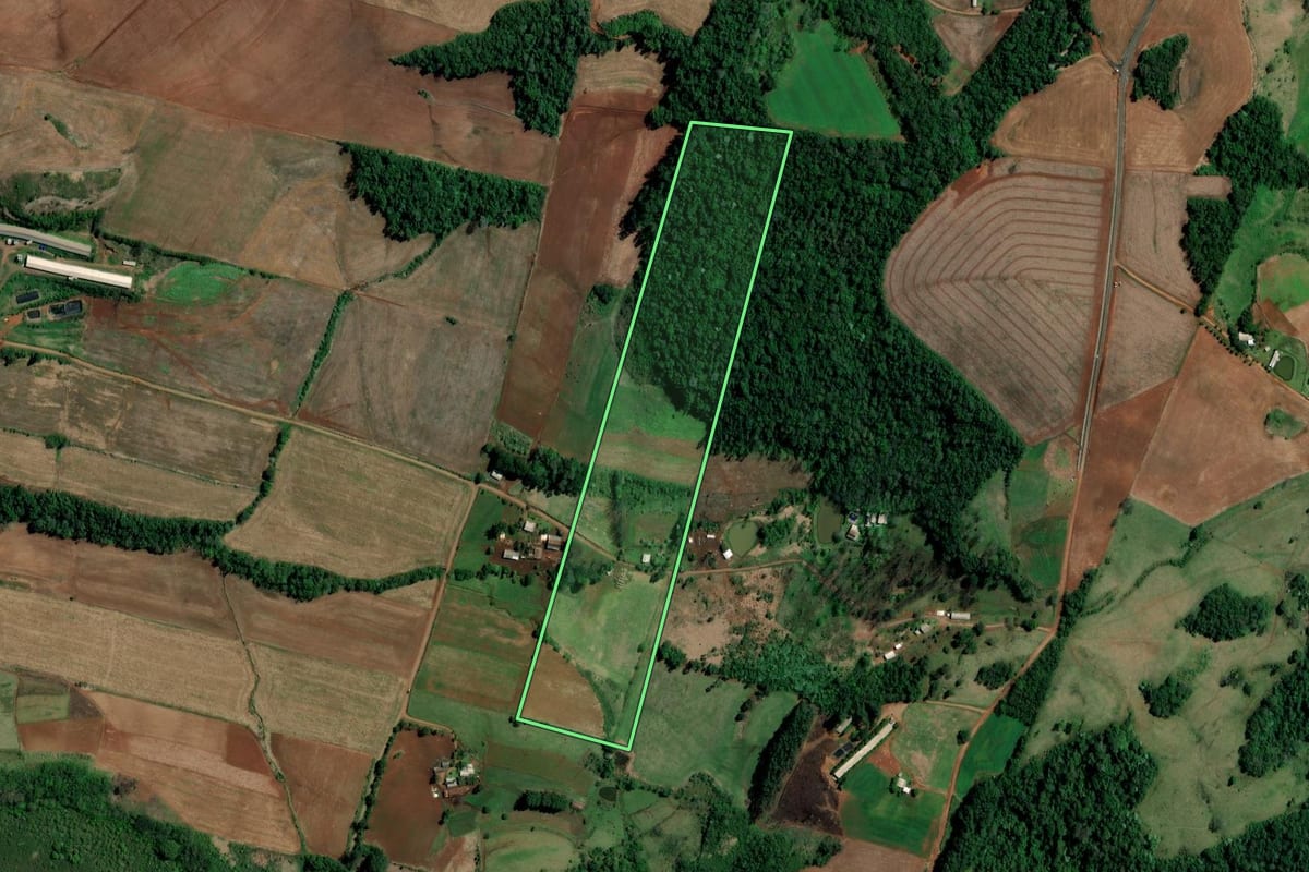 Imagem de satélite do imóvel rural em Palmitos (SC), com o contorno declarado no CAR desenhado por cima.