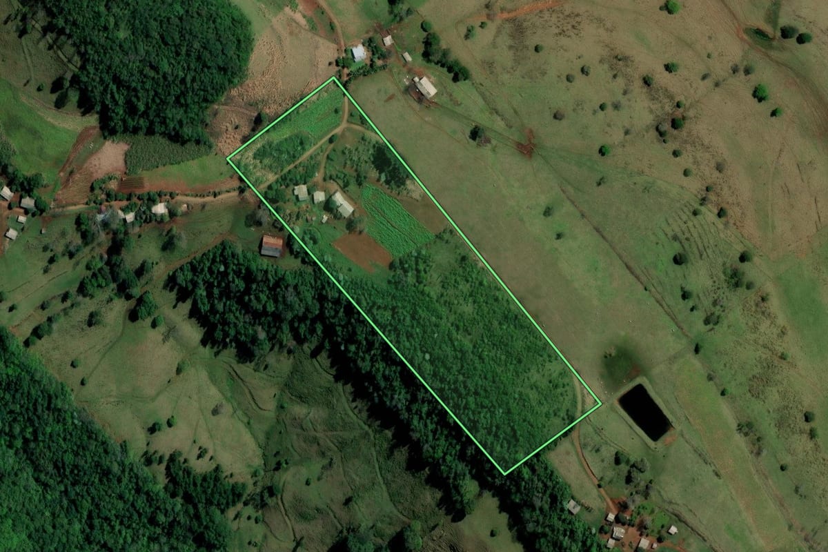 Imagem de satélite do imóvel rural em Palmitos (SC), com o contorno declarado no CAR desenhado por cima.
