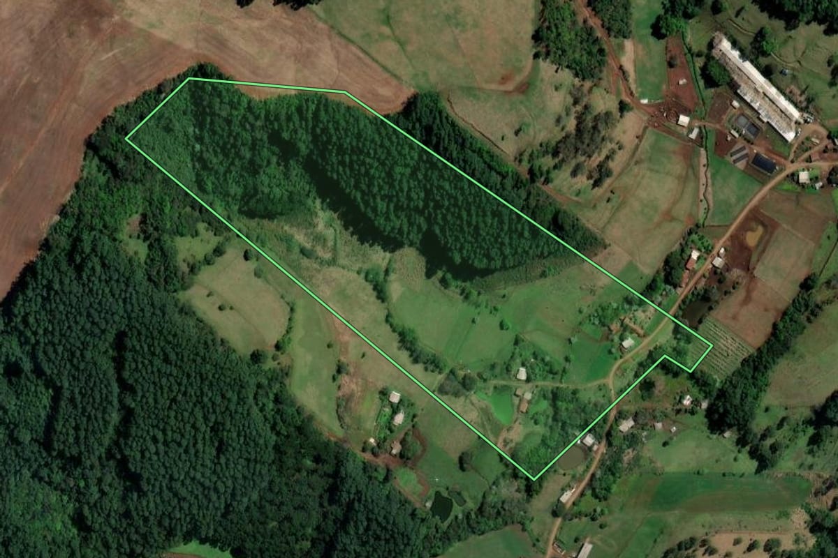 Imagem de satélite do imóvel rural em Palmitos (SC), com o contorno declarado no CAR desenhado por cima.
