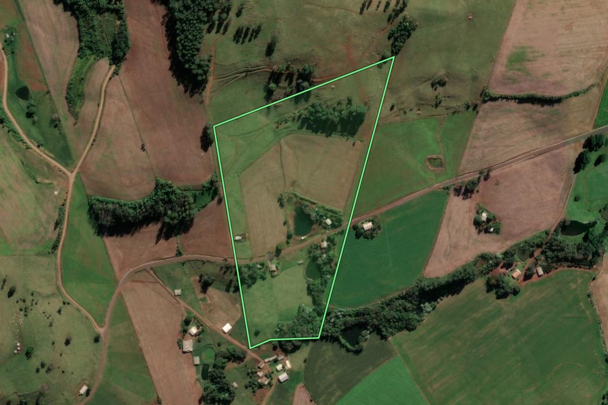 Imagem de satélite do imóvel rural em Palmitos (SC), com o contorno declarado no CAR desenhado por cima.