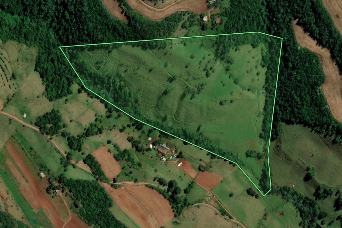 Imagem de satélite do imóvel rural em Palmitos (SC), com o contorno declarado no CAR desenhado por cima.