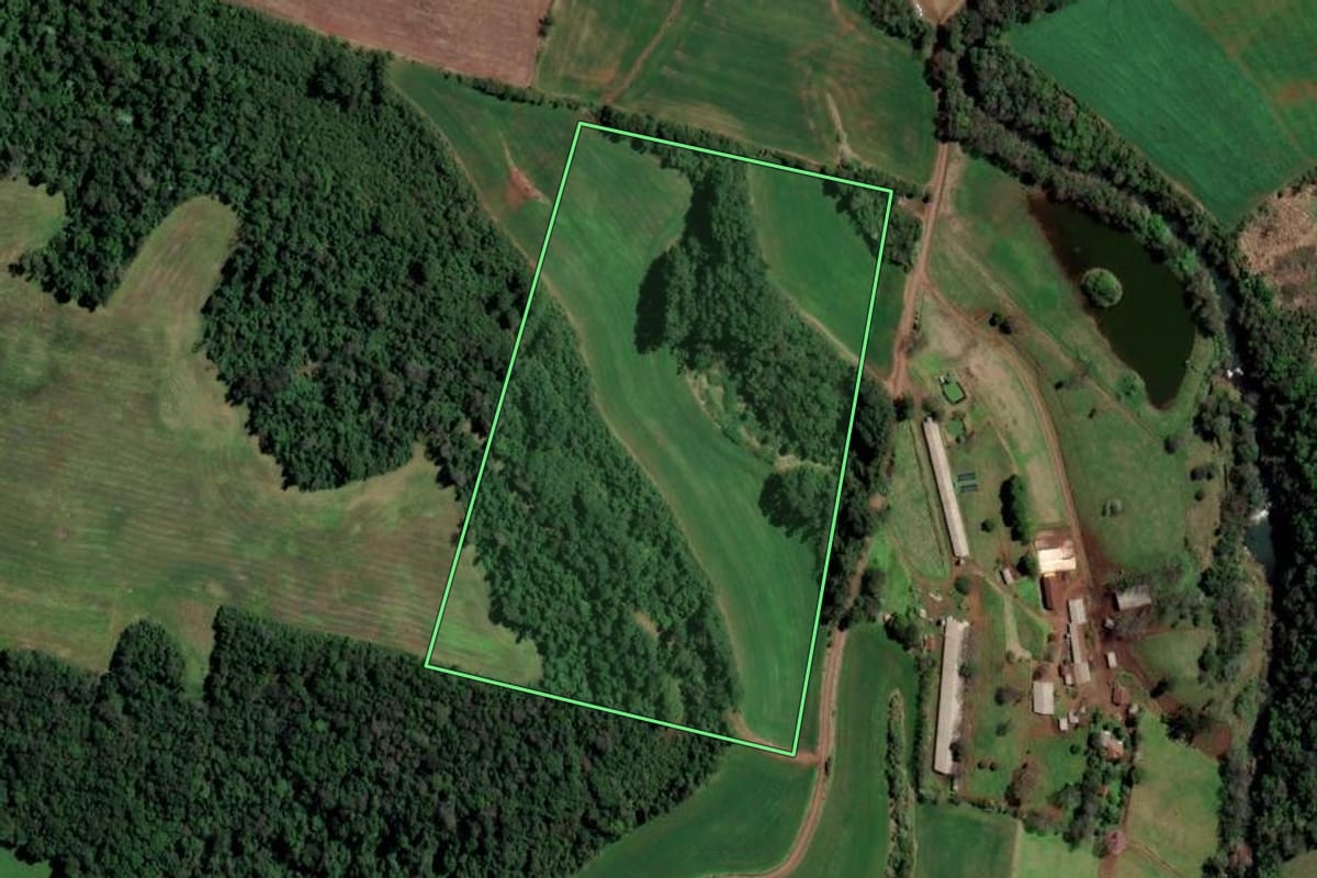 Imagem de satélite do imóvel rural em Palmitos (SC), com o contorno declarado no CAR desenhado por cima.
