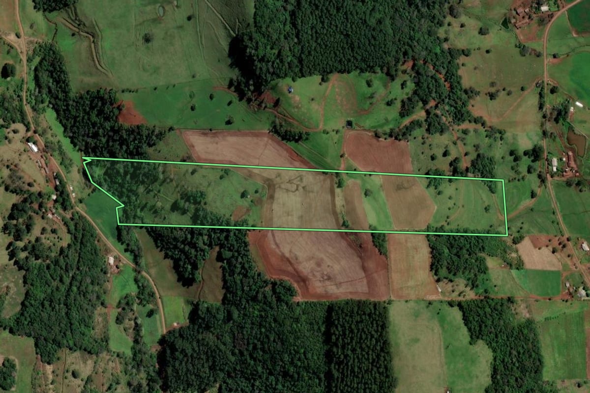 Imagem de satélite do imóvel rural em Palmitos (SC), com o contorno declarado no CAR desenhado por cima.