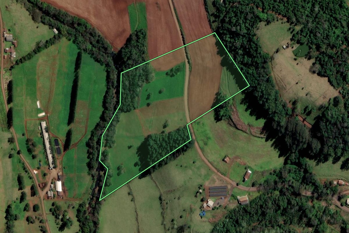 Imagem de satélite do imóvel rural em Palmitos (SC), com o contorno declarado no CAR desenhado por cima.