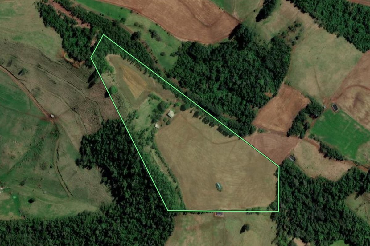 Imagem de satélite do imóvel rural em Palmitos (SC), com o contorno declarado no CAR desenhado por cima.