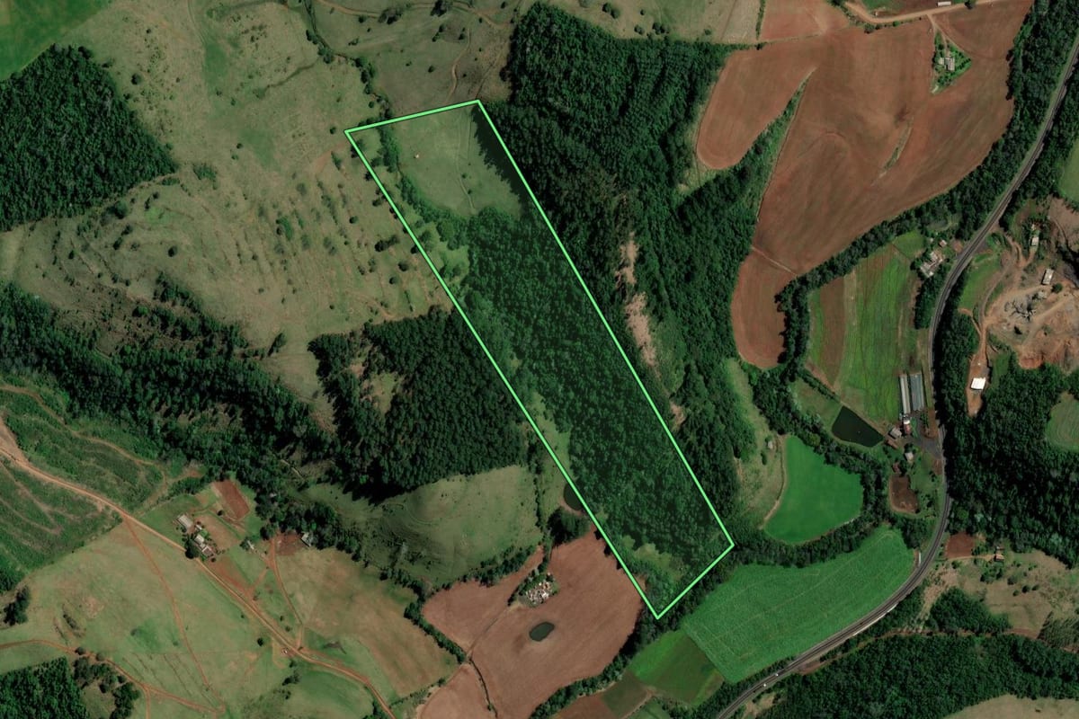 Imagem de satélite do imóvel rural em Palmitos (SC), com o contorno declarado no CAR desenhado por cima.