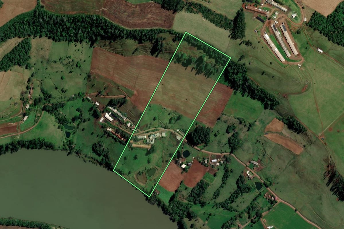 Imagem de satélite do imóvel rural em Palmitos (SC), com o contorno declarado no CAR desenhado por cima.