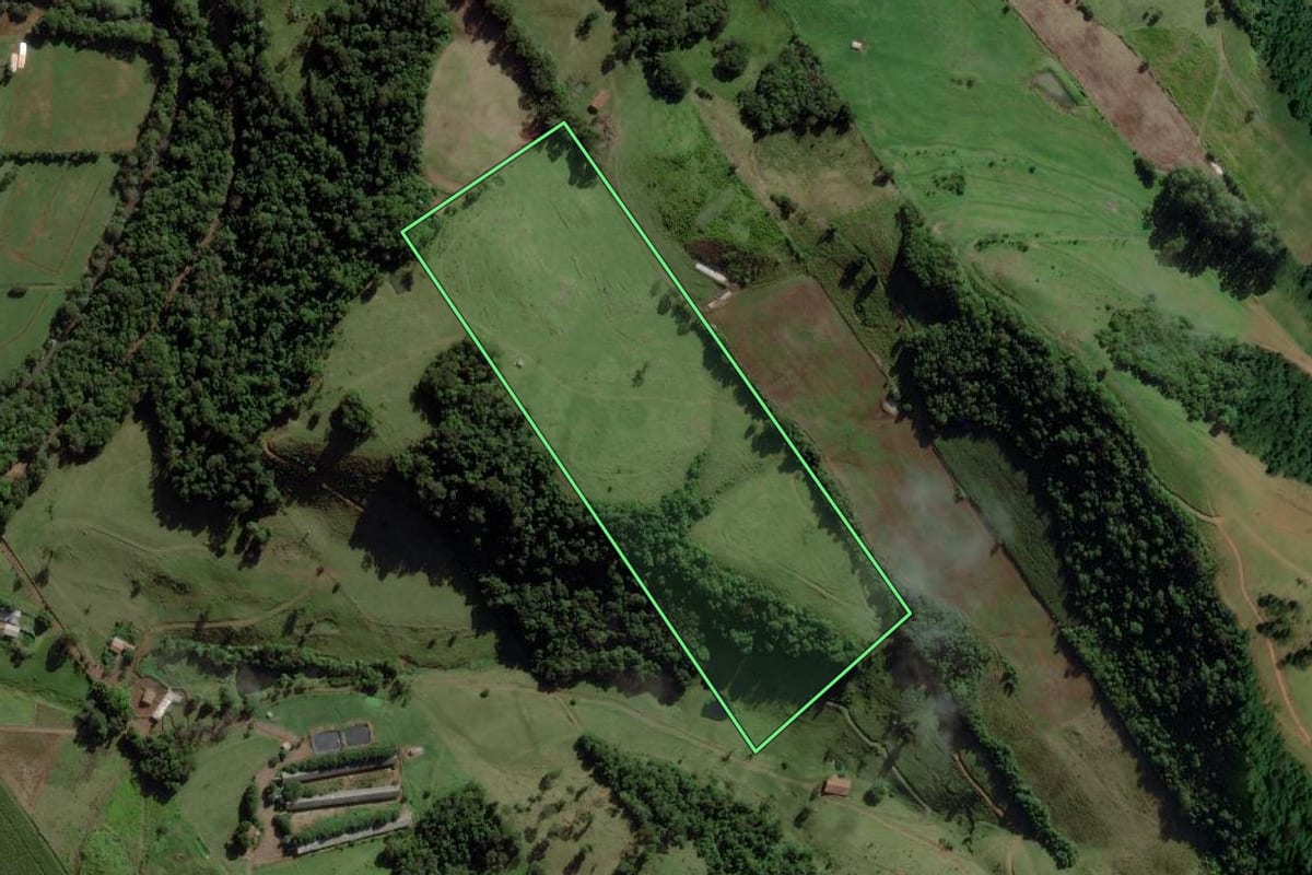 Imagem de satélite do imóvel rural em Palmitos (SC), com o contorno declarado no CAR desenhado por cima.