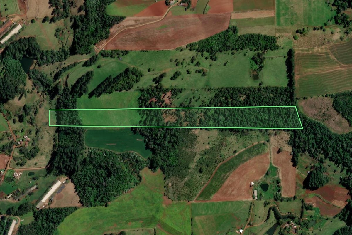 Imagem de satélite do imóvel rural em Palmitos (SC), com o contorno declarado no CAR desenhado por cima.