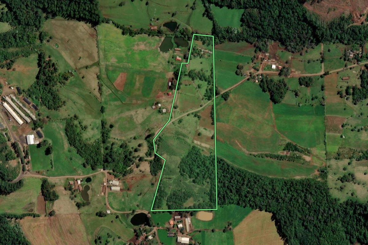 Imagem de satélite do imóvel rural em Palmitos (SC), com o contorno declarado no CAR desenhado por cima.