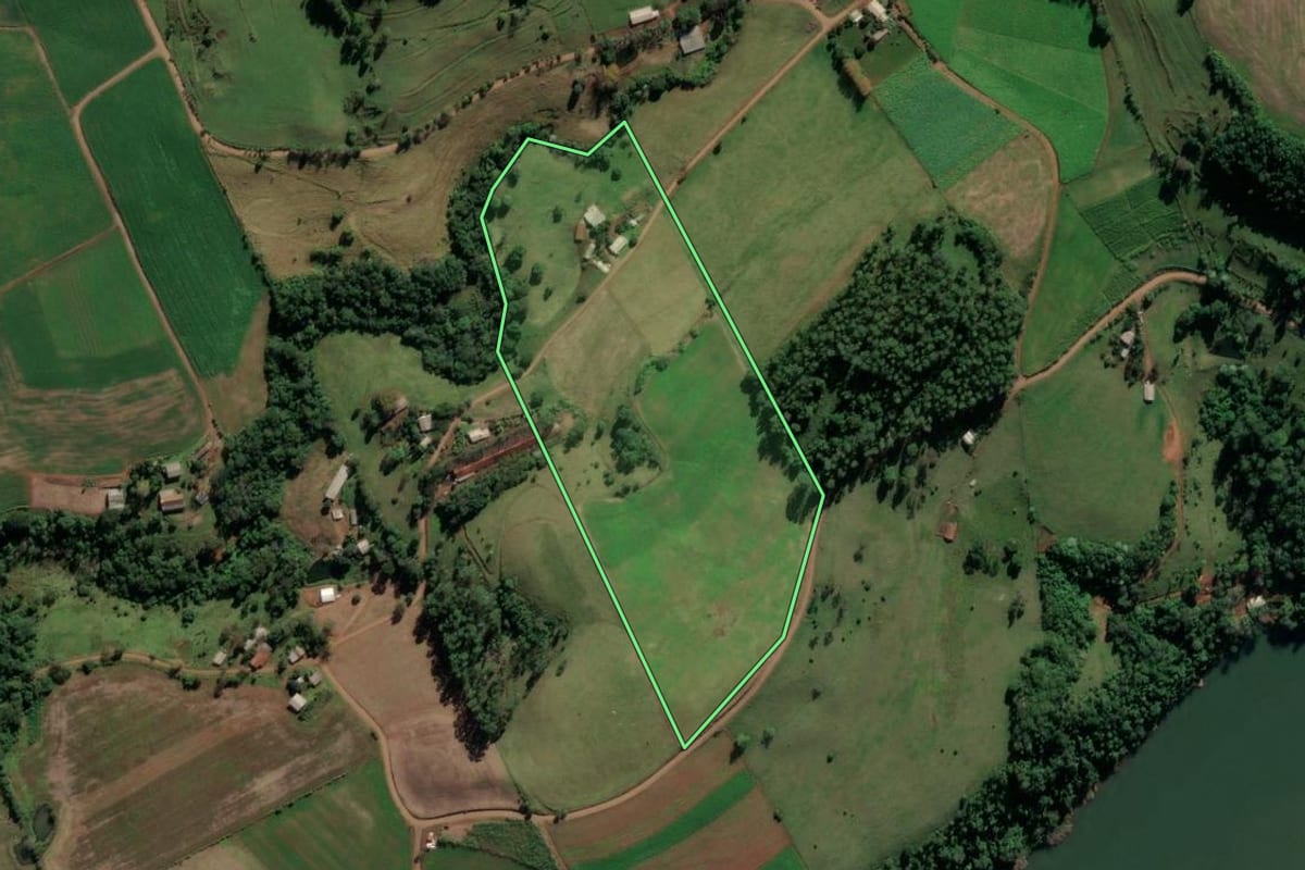 Imagem de satélite do imóvel rural em Palmitos (SC), com o contorno declarado no CAR desenhado por cima.