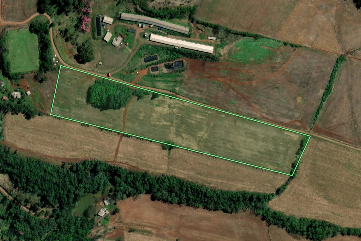 Imagem de satélite do imóvel rural em Palmitos (SC), com o contorno declarado no CAR desenhado por cima.