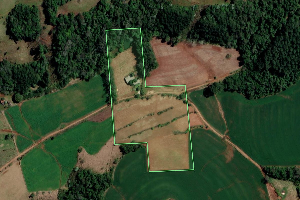 Imagem de satélite do imóvel rural em Palmitos (SC), com o contorno declarado no CAR desenhado por cima.