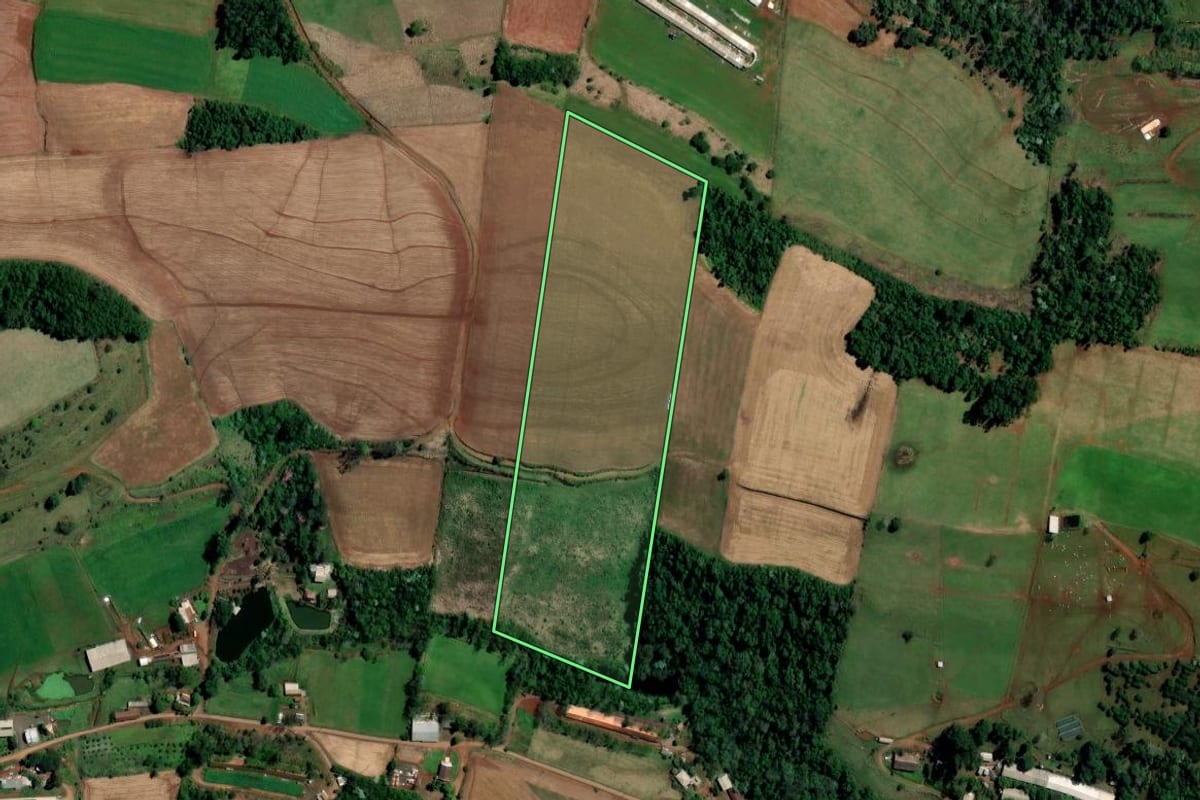 Imagem de satélite do imóvel rural em Palmitos (SC), com o contorno declarado no CAR desenhado por cima.