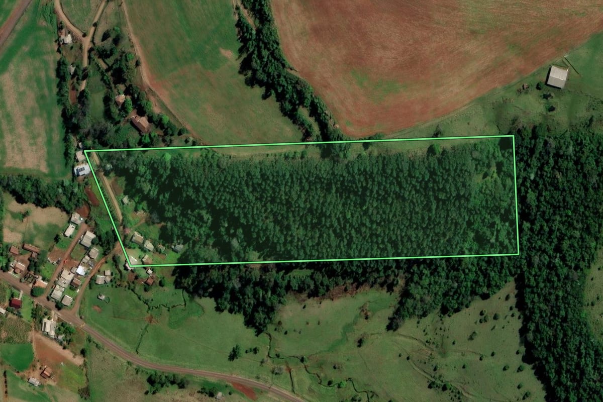 Imagem de satélite do imóvel rural em Palmitos (SC), com o contorno declarado no CAR desenhado por cima.
