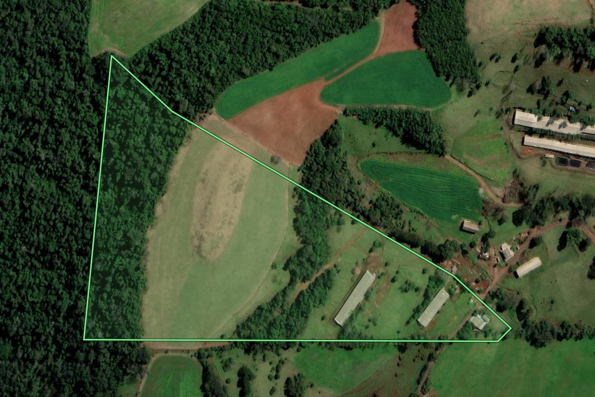 Imagem de satélite do imóvel rural em Palmitos (SC), com o contorno declarado no CAR desenhado por cima.