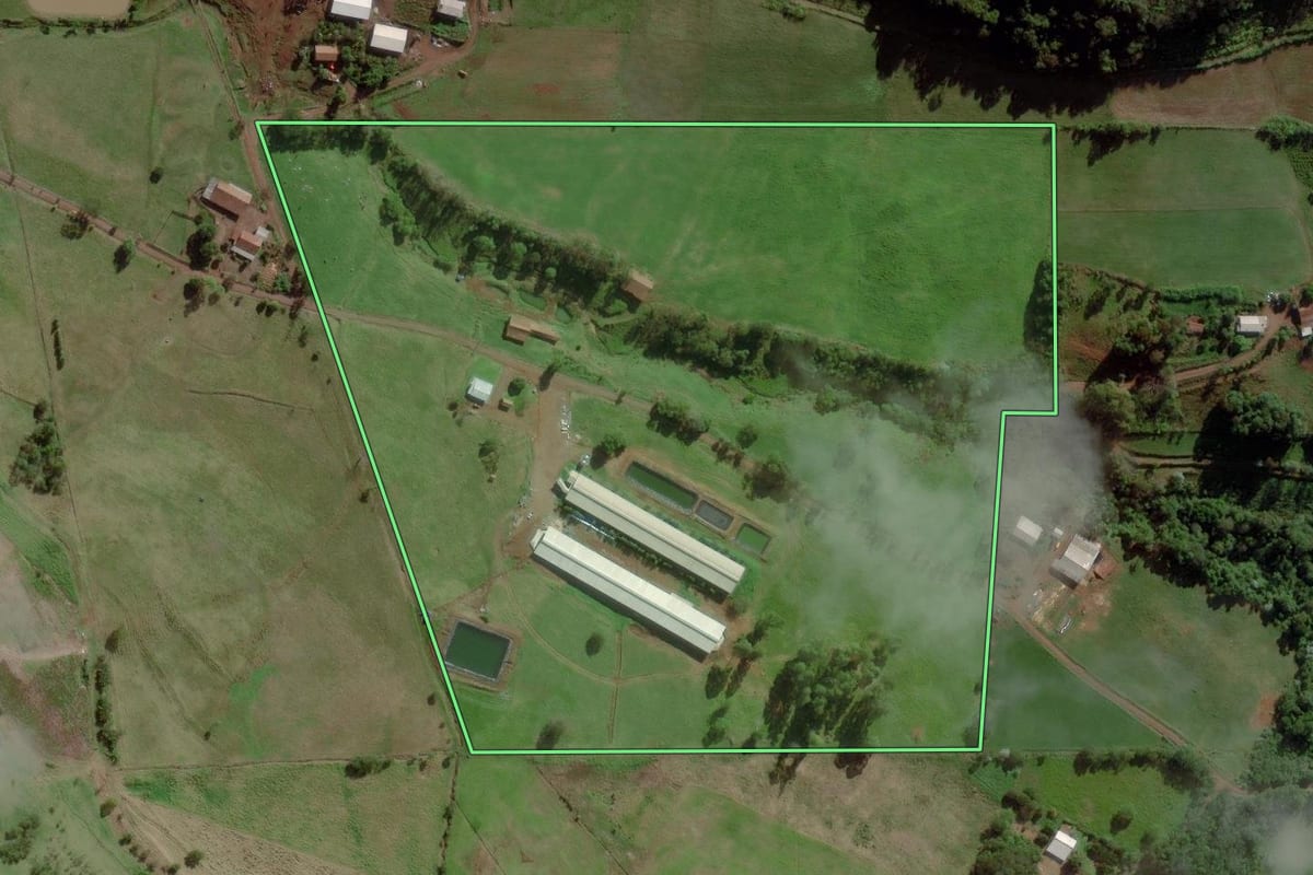 Imagem de satélite do imóvel rural em Palmitos (SC), com o contorno declarado no CAR desenhado por cima.