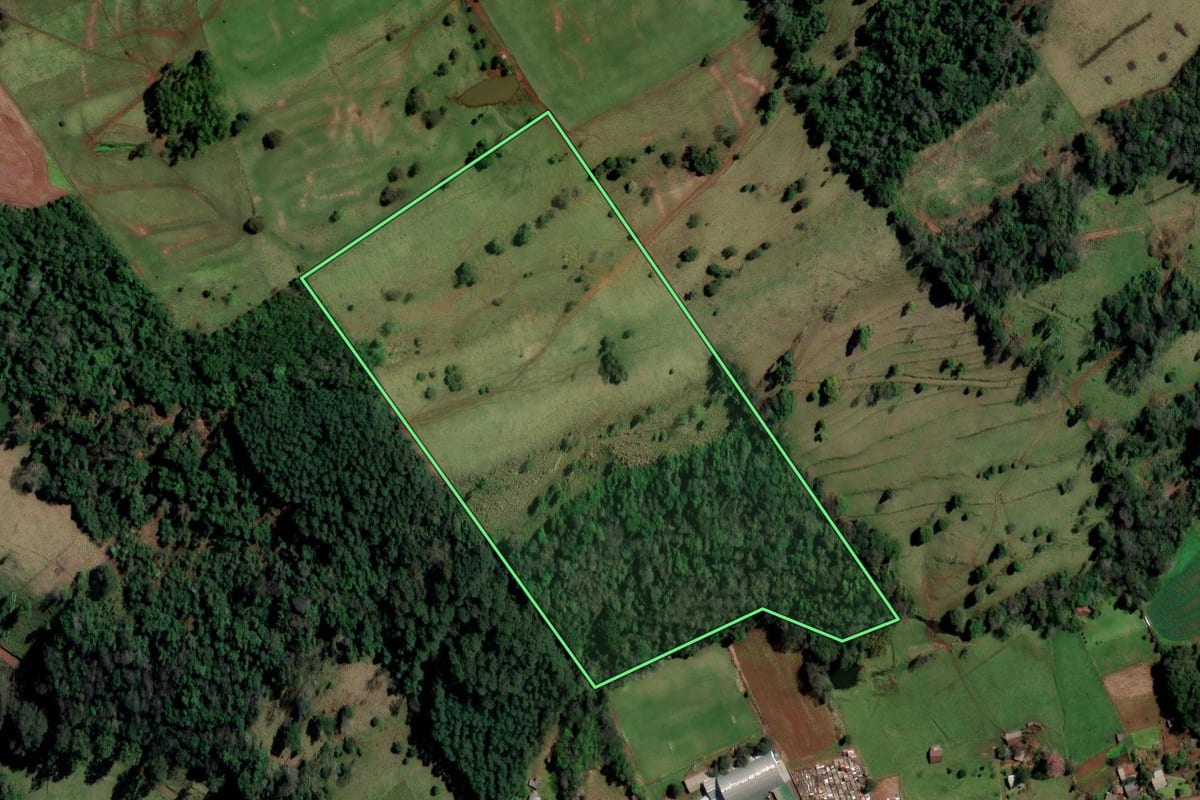 Imagem de satélite do imóvel rural em Palmitos (SC), com o contorno declarado no CAR desenhado por cima.