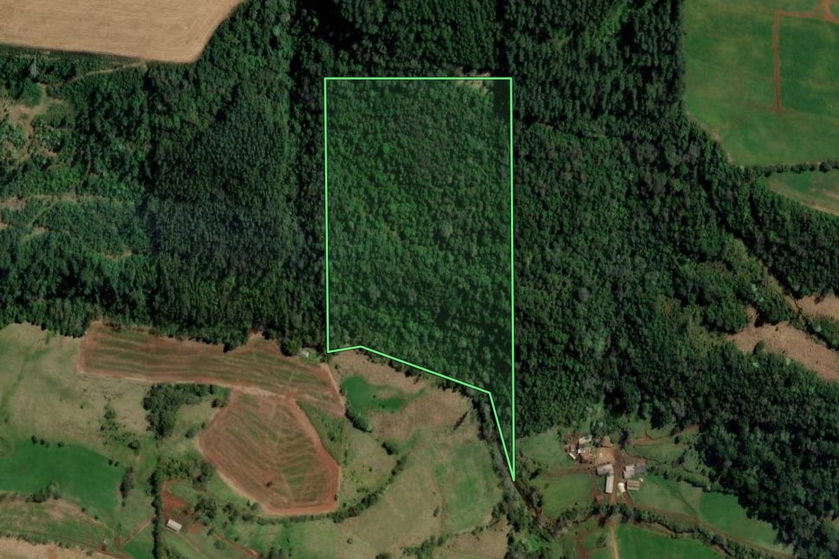Imagem de satélite do imóvel rural em Palmitos (SC), com o contorno declarado no CAR desenhado por cima.