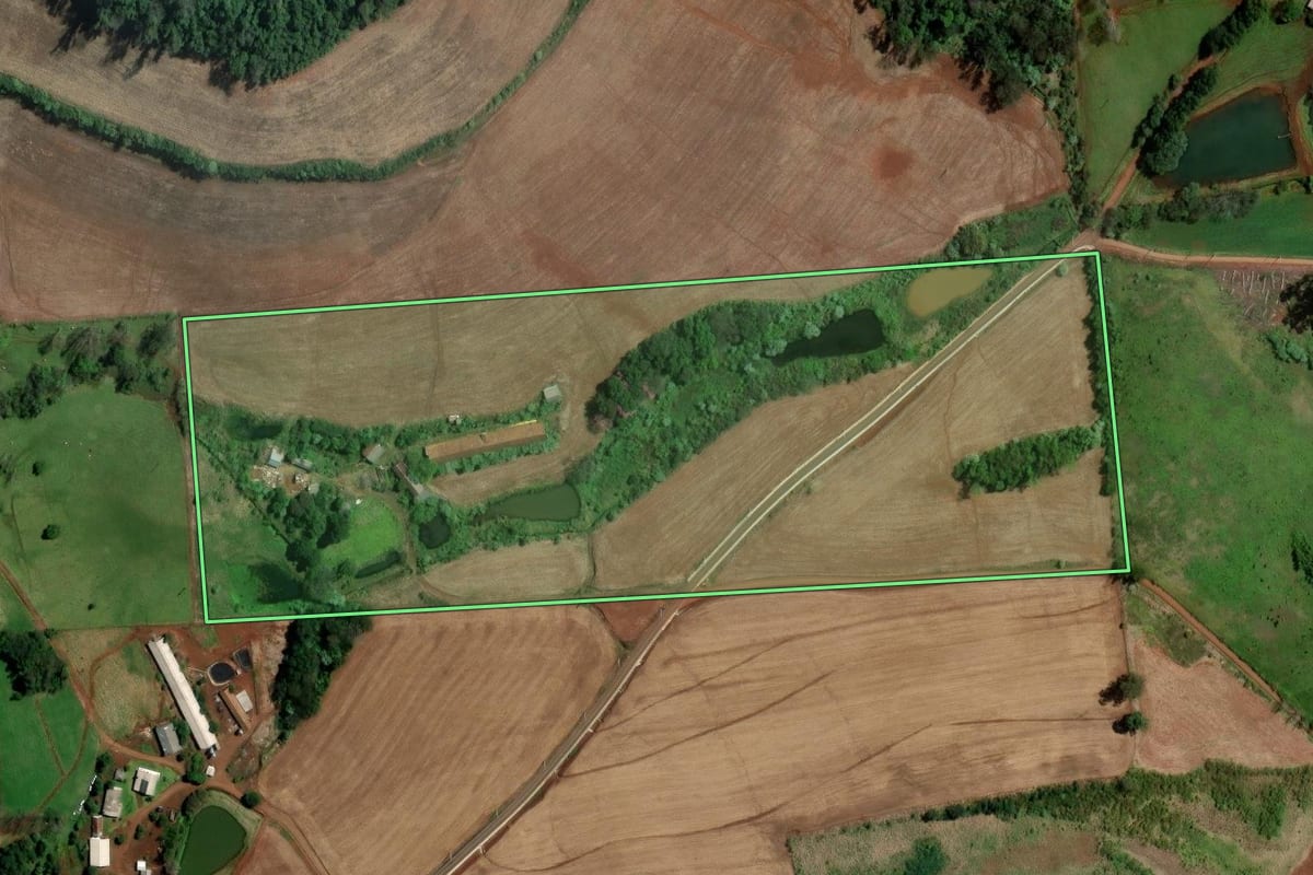 Imagem de satélite do imóvel rural em Palmitos (SC), com o contorno declarado no CAR desenhado por cima.