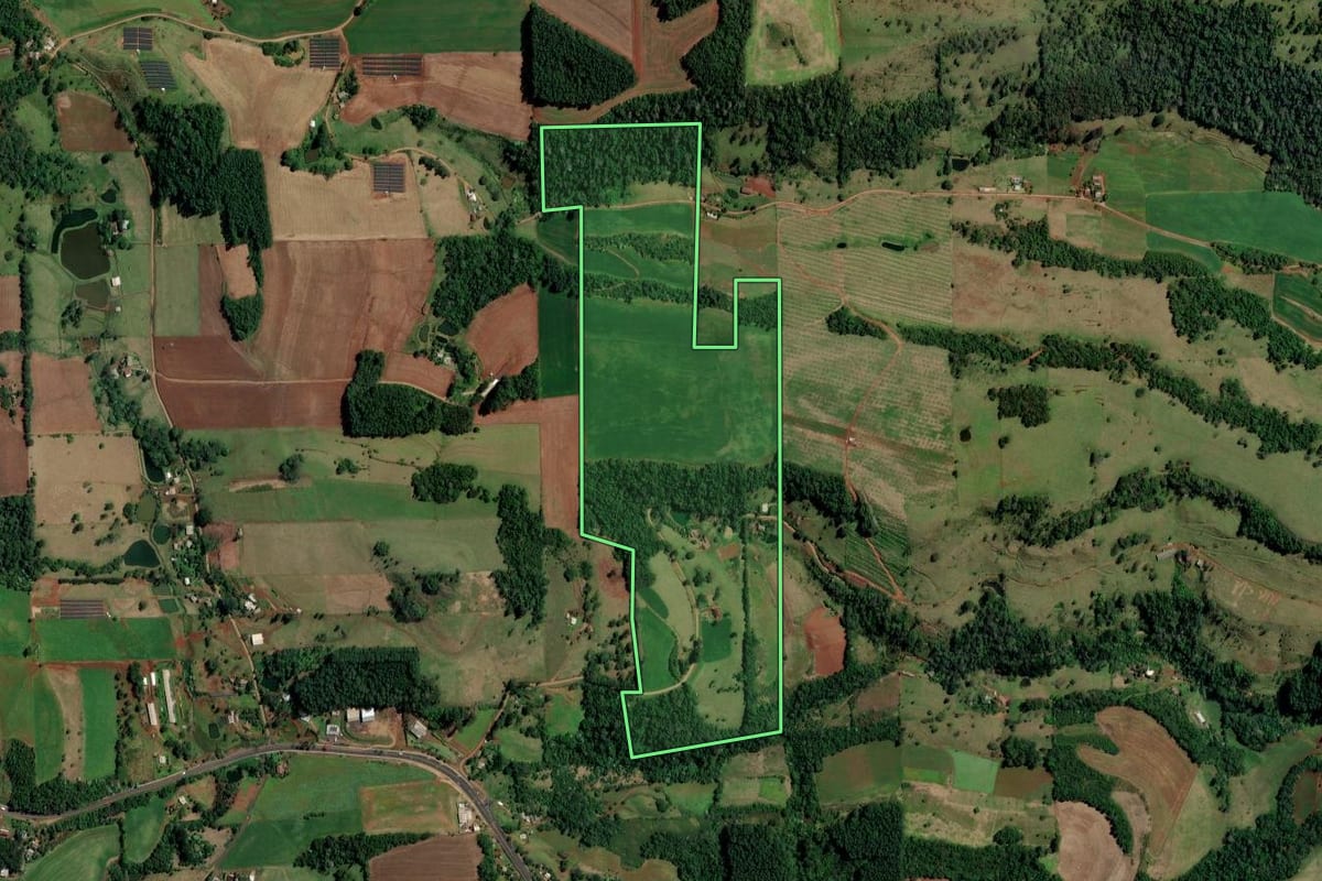 Imagem de satélite do imóvel rural em Palmitos (SC), com o contorno declarado no CAR desenhado por cima.