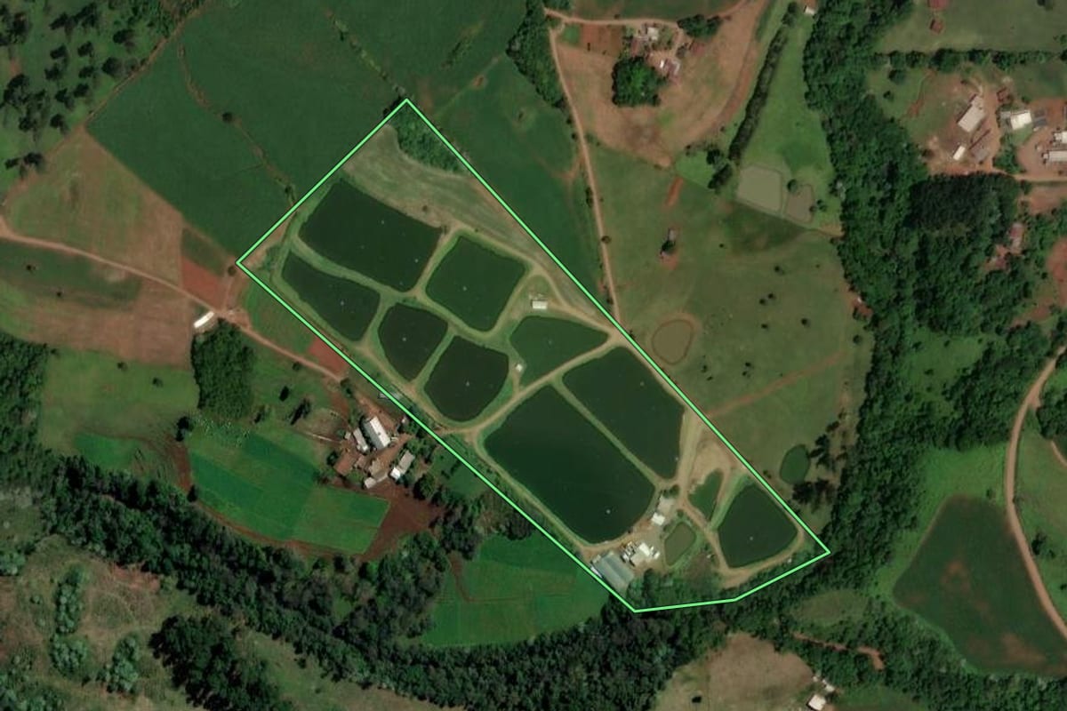 Imagem de satélite do imóvel rural em Palmitos (SC), com o contorno declarado no CAR desenhado por cima.