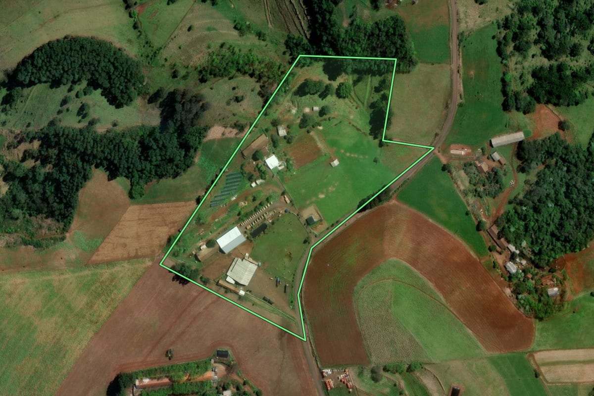 Imagem de satélite do imóvel rural em Palmitos (SC), com o contorno declarado no CAR desenhado por cima.