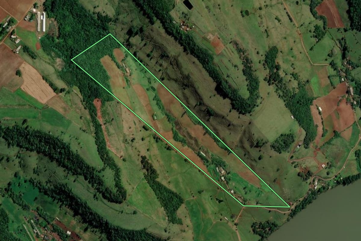 Imagem de satélite do imóvel rural em Palmitos (SC), com o contorno declarado no CAR desenhado por cima.