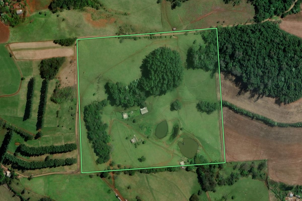 Imagem de satélite do imóvel rural em Palmitos (SC), com o contorno declarado no CAR desenhado por cima.