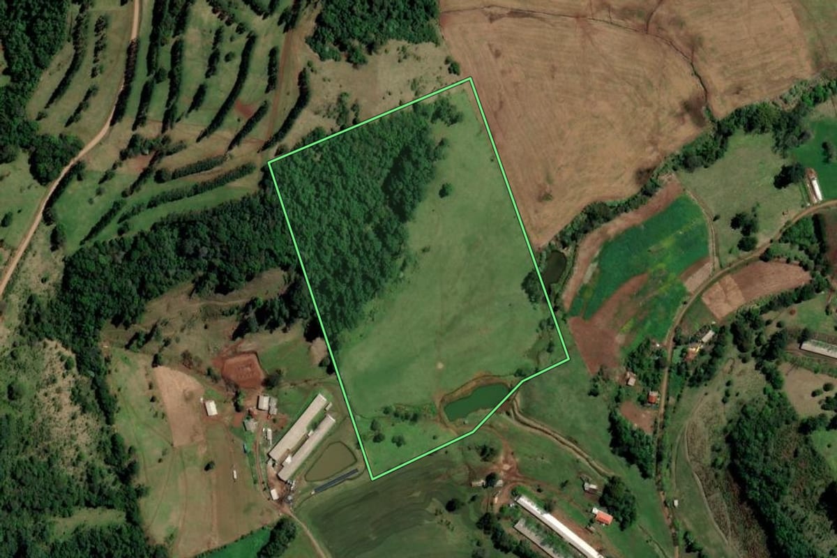 Imagem de satélite do imóvel rural em Palmitos (SC), com o contorno declarado no CAR desenhado por cima.