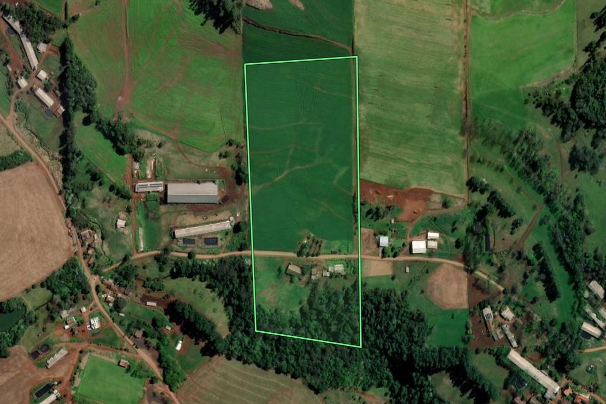 Imagem de satélite do imóvel rural em Palmitos (SC), com o contorno declarado no CAR desenhado por cima.