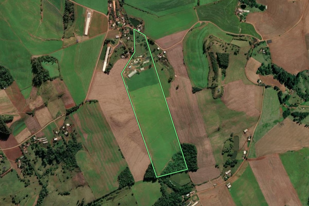 Imagem de satélite do imóvel rural em Palmitos (SC), com o contorno declarado no CAR desenhado por cima.